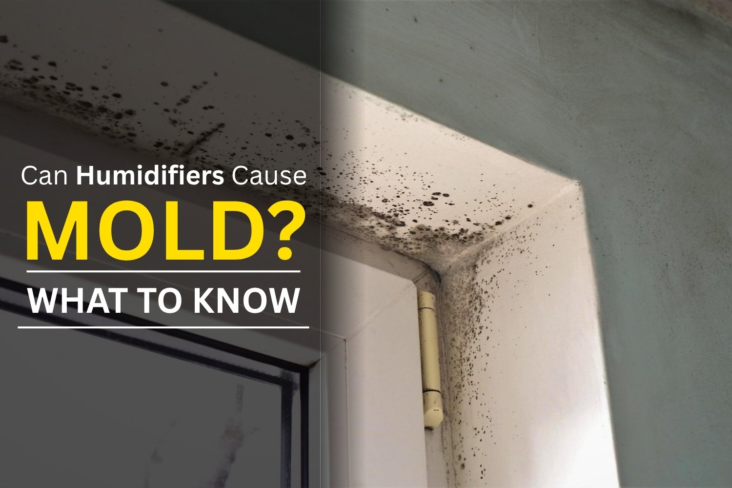 humidifier cause mold​